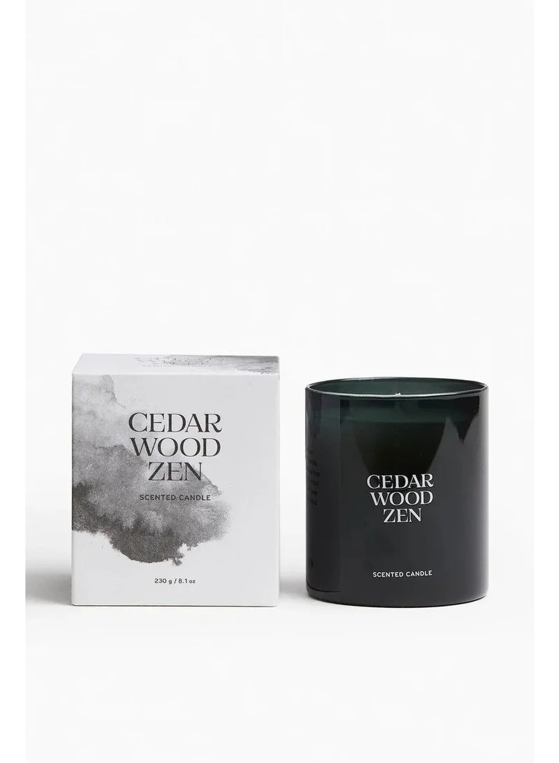 H&M Scented Candle In A Glass Holder 230G